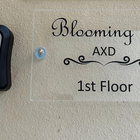 شقة Blooming 31 Axd أليكسانثيربوليس المظهر الخارجي الصورة